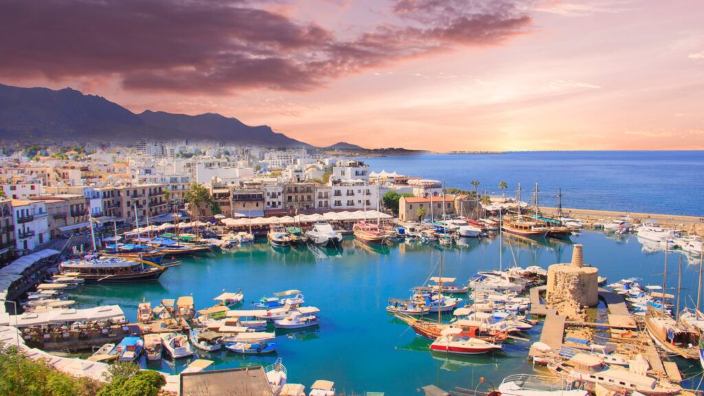 Study in Cyprus by Wizmo consultans