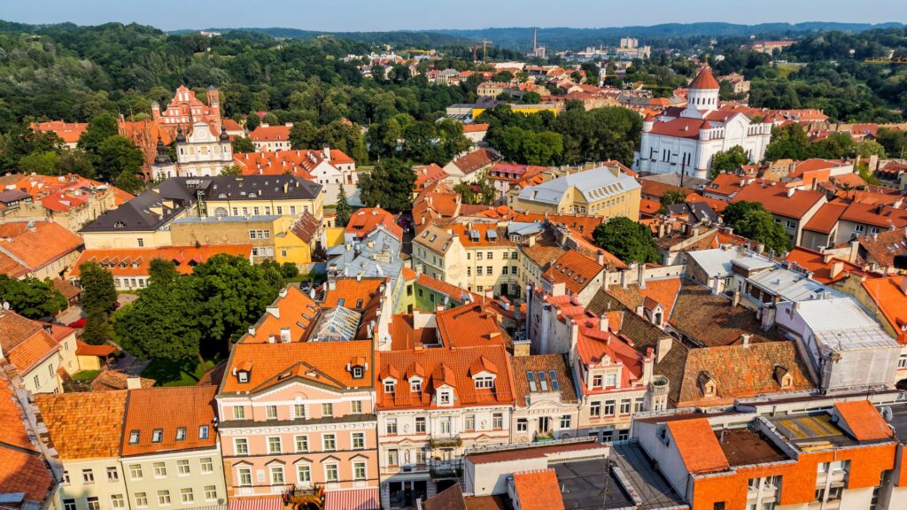 Study in Lithuania by Wizmo Consultants